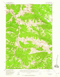 Pilot Peak 1956 topographic map thumbnail