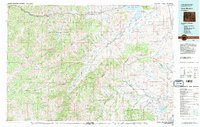 Carter Mountain 1980 topographic map thumbnail