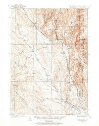 Newcastle 1899 topographic map thumbnail