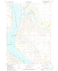 Bedashosha Lake 1974 topographic map thumbnail