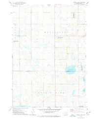 Cherry Lake 1973 topographic map preview