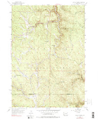Crooks Tower 1956 topographic map thumbnail