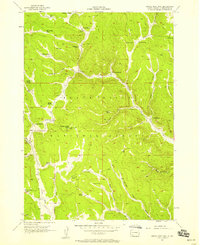 Crows Nest Peak 1956 topographic map thumbnail