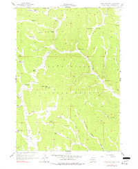 Crows Nest Peak 1956 topographic map thumbnail