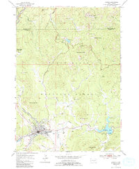 Custer 1954 topographic map preview