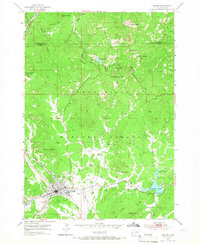 Custer 1954 topographic map preview