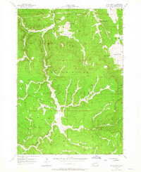 Ditch Creek 1956 topographic map thumbnail