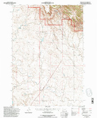 Irish Butte 1993 topographic map thumbnail