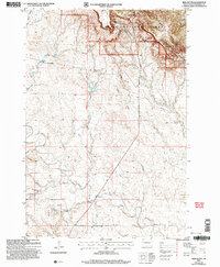 Irish Butte 2005 topographic map thumbnail