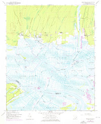 Minim Island 1943 topographic map thumbnail