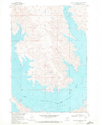 No Heart Creek SE 1969 topographic map thumbnail