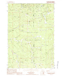 Old Baldy Mtn topographic map thumbnail