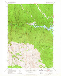 Silver City 1954 topographic map thumbnail