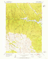 Silver City 1954 topographic map thumbnail