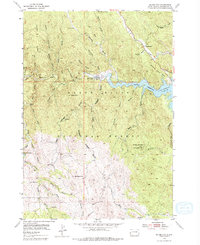 Silver City 1954 topographic map thumbnail