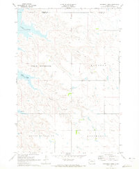 Steamboat Creek 1970 topographic map preview