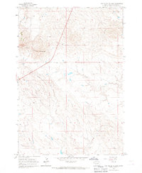 Two Top Butte East 1965 topographic map thumbnail