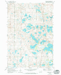 Twomile Lake 1970 topographic map thumbnail