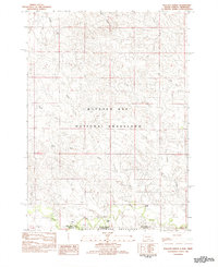 Wallace Ranch 1982 topographic map thumbnail