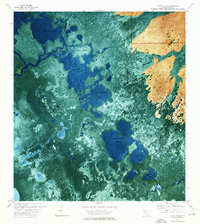 Alligator Bay 1973 topographic map thumbnail