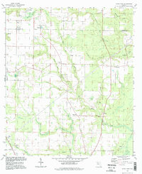Altha East 1994 topographic map thumbnail