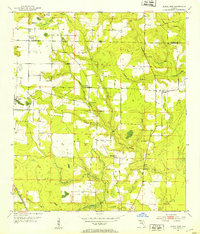 Altha East 1952 topographic map preview