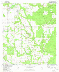 Altha East 1982 topographic map preview