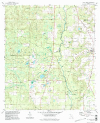 Altha West 1994 topographic map thumbnail