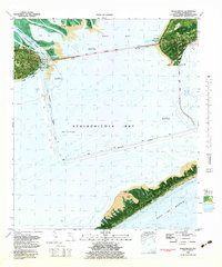 Apalachicola 1982 topographic map thumbnail