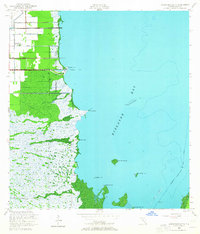 Arsenicker Keys 1956 topographic map thumbnail