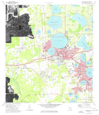 Auburndale 1975 topographic map thumbnail