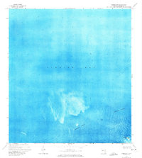 Bamboo Key 1972 topographic map thumbnail