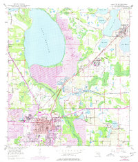 Bartow 1949 topographic map thumbnail