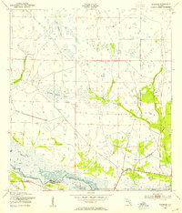 Basinger 1953 topographic map thumbnail