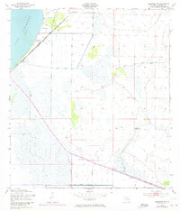 Basinger SW 1953 topographic map thumbnail