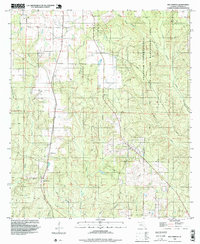 Bay Springs 1994 topographic map thumbnail