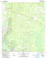 Baywood 1993 topographic map thumbnail
