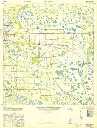 Bee Ridge 1947 topographic map thumbnail