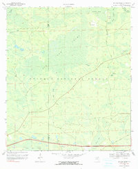 Big Gum Swamp 1969 topographic map preview