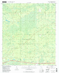 Big Gum Swamp 1994 topographic map preview