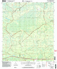 Big Gum Swamp 2005 topographic map thumbnail