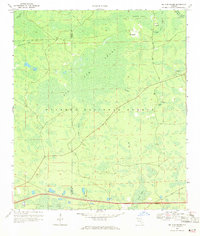 Big Gum Swamp 1969 topographic map preview