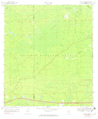 Big Gum Swamp 1969 topographic map preview