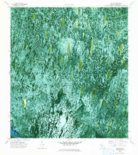 Big Lake 1973 topographic map thumbnail