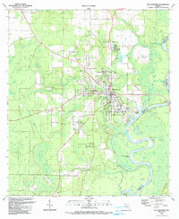 Blountstown 1990 topographic map thumbnail