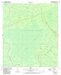 Bradwell Bay 1990 topographic map thumbnail