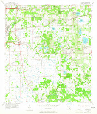 Brandon 1956 topographic map thumbnail