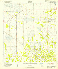 Brighton 1953 topographic map thumbnail
