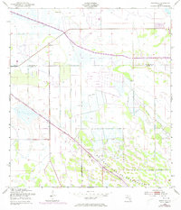 Brighton 1953 topographic map thumbnail