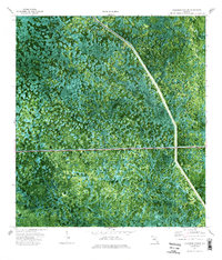 California Slough 1974 topographic map thumbnail
